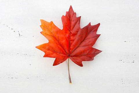 Where to buy Canadian products? - Local Boom™