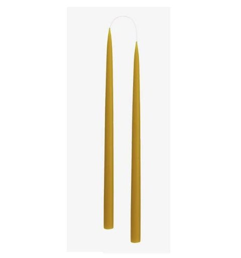 10" Yellow Honey Taper Candles (Set of 2) - Candle - Twilight Collection