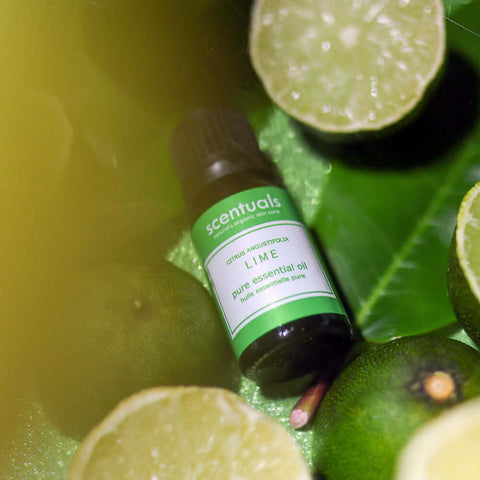 100% Pure Lime Essential Oil - Essential Oil - Scentuals