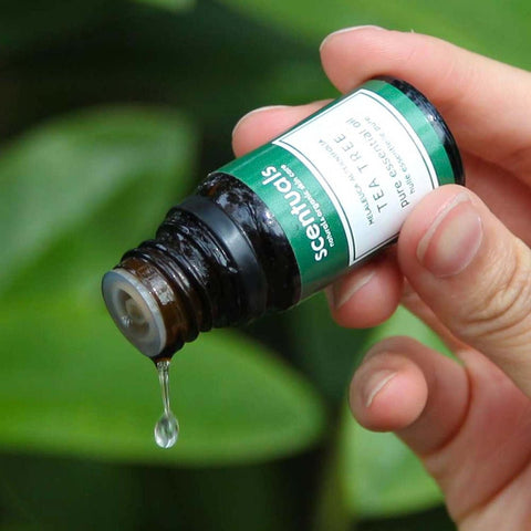 100% Pure Tea Tree Essential Oil - Essential Oil - Scentuals