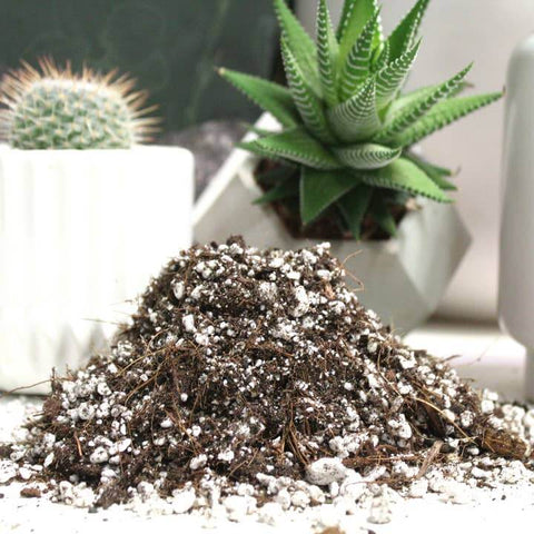 Cactus Blend - Potting Soil For Indoor Plants - Soil - Maya Growing Mediums