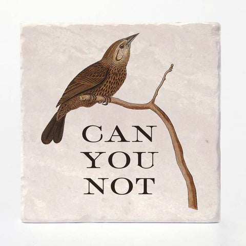 Can You Not Coaster - Coaster - Versatile Coasters