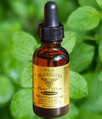 Certified Organic Wild Mediterranean Oil of Oregano - Essential Oil - Hedd Wyn Essentials