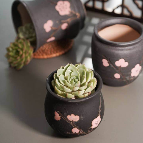 Cherry Blossom Succulent Pot - Planter - The Local Boom Gift Shop