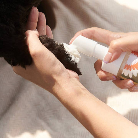 Clean Paws No - Rinse Foaming Cleanser - Pet - Dandylion
