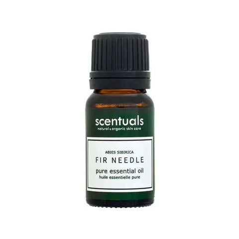 Fir Needle Essential Oil - Essential Oil - Scentuals