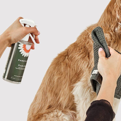 Fresh Coat Daily Cleansing Spray | Waterless No - Rinse Shampoo - Pet - Dandylion