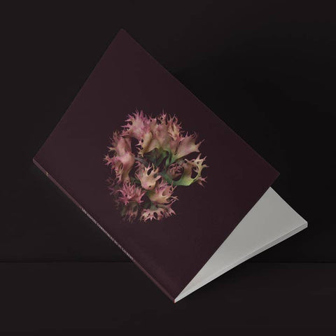 Irish Moss Mini Notebook (La Rose) - Notebook - Raoul & Simone