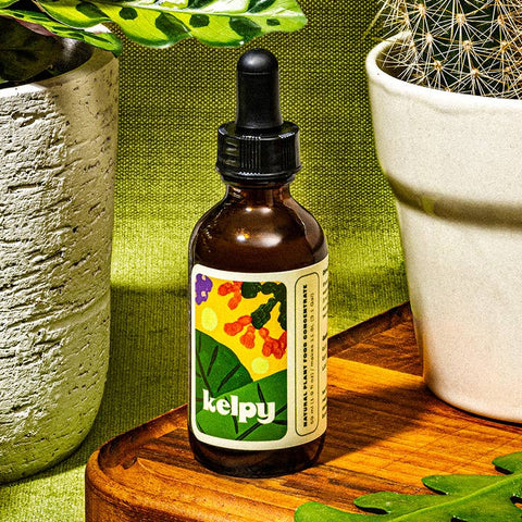 Kelpy Plant Food (Starter Size) - Planter - Kelpy