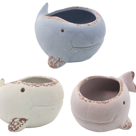 Little Whale Planter - Planter - The Local Boom Gift Shop