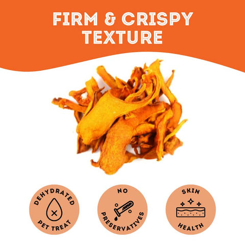 Once Upon a Time Dehydrated Pumpkin Treat - Dog Food - The Granville Island Pet Treatery