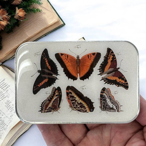 Orange Butterflies Notions Tin - Craft - Firefly Notes
