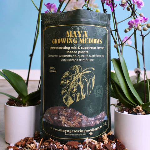 Orchid Potting Soil For Indoor Plants - Soil - Maya Growing Mediums