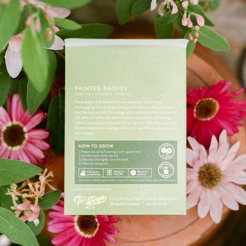 Painted Daisies (New Beginnings) - Floriography Seed Packet - Soil - To & From Gift Co.