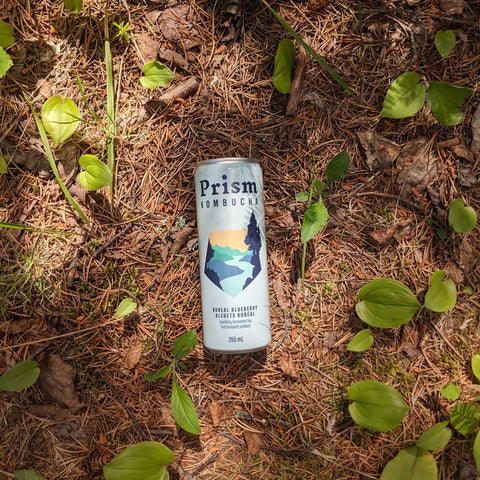 Prism Kombucha Boreal Blueberry - Drink - Prism Kombucha