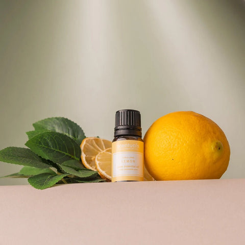 Pure Lemon Essential Oil - Essential Oil - Scentuals