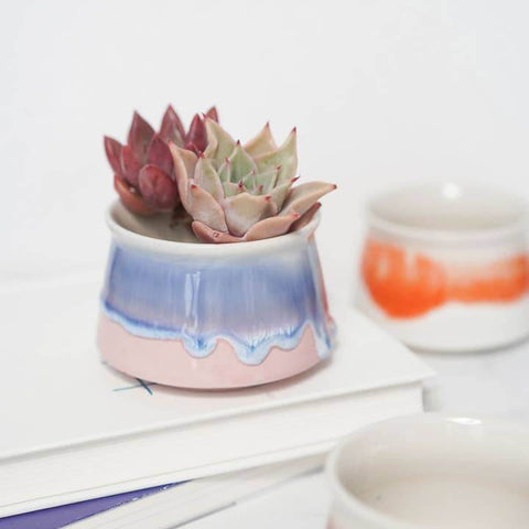 Small Glazed Succulent Planter Pot - Planter - The Local Boom Gift Shop