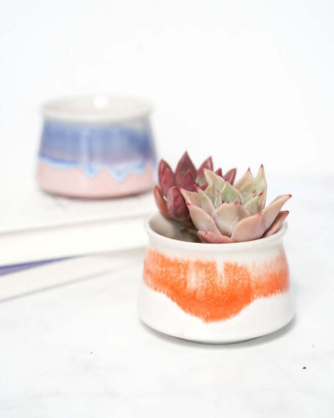 Small Glazed Succulent Planter Pot - Planter - The Local Boom Gift Shop
