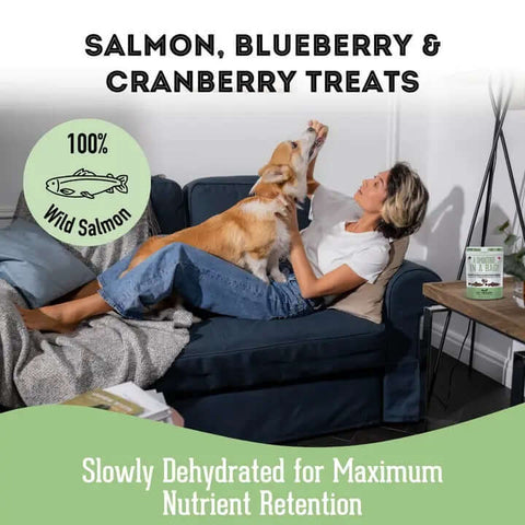 Smoothie in a Bag Pet Treats - Dog Food - The Granville Island Pet Treatery