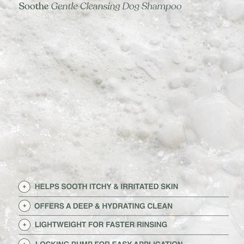 Soothe Gentle Cleansing Dog Shampoo - Pet - Dandylion